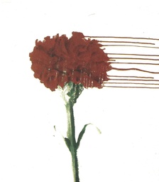 II Concurso de cartas Novembro de 2004 'Dillo a quen maltrata'