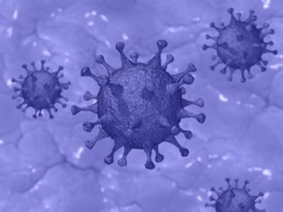  Informacións sobre o Coronavirus